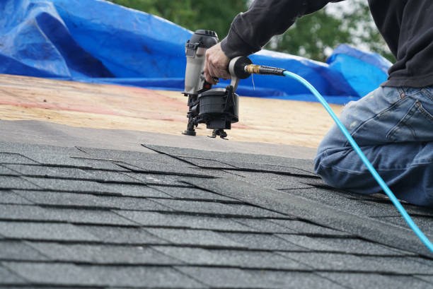 Best Green or Eco-Friendly Roofing Solutions  in Swansea, IL